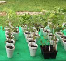 Fundraising_Image3_2 Fundraising_Image3_2