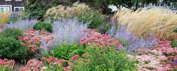 TownGardens_Image3