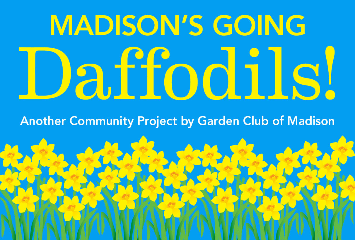 Daffodils_CommunityProjects_1212x820