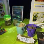 Glo Expo at Country School.