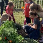 Jeffrey School second graders Field study at Bauer Farm. Plant identification and soil observation.