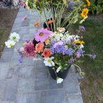 IMG_5068.HEIC